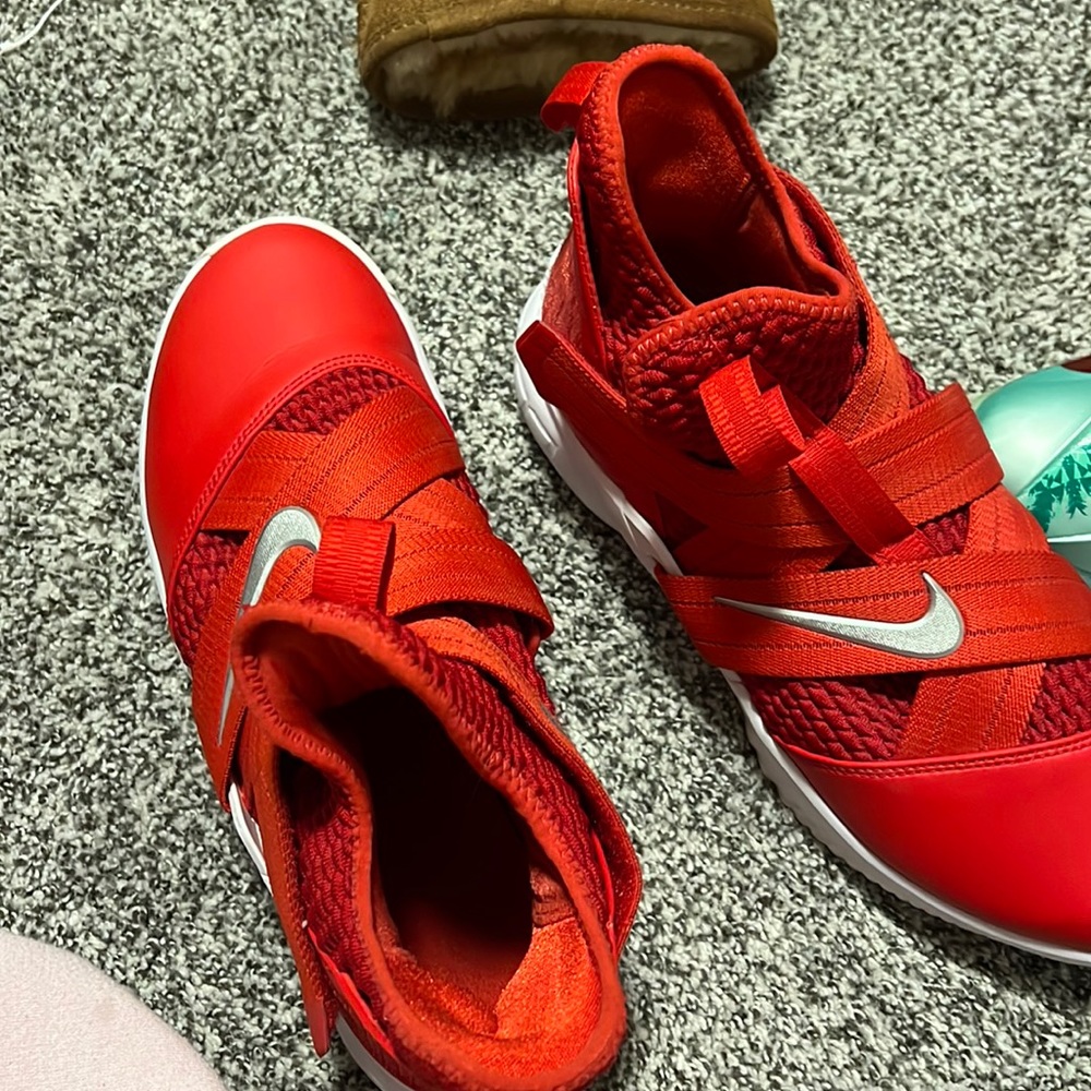 Lebron soldier 12 TB university